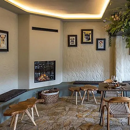 Cozy * La Esperanza (Tenerife)